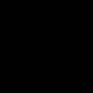 Meet your Posher, Reyna